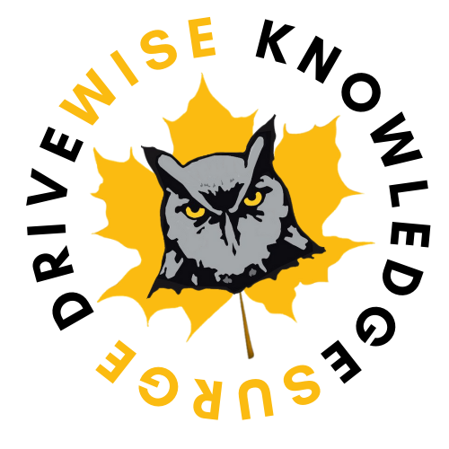 DriveWise & KnowledgeSurge logo